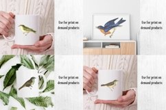 Vintage Birds, Antique Birds Clipart Product Image 9