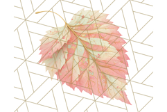 Fall Foliage Clipart PNG, Pink and Green Leaves Product Image 5