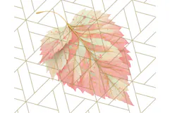 Fall Foliage Clipart PNG, Pink and Green Leaves Product Image 5