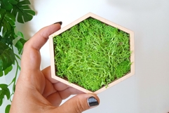 Miniature moss wall art digital download file Dollhouse doll Product Image 9