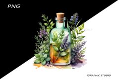 Watercolor bottle and herbs clipart Product Image 1