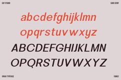 Orvia - Family Sans Serif Typeface Product Image 9