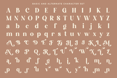 Divale Magical - Stylish Retro Serif Font Product Image 9