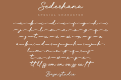 Sederhana Bold Handwriting Font Product Image 9
