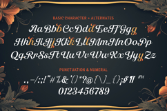 Lavenia - Beautiful Craft Script Product Image 9