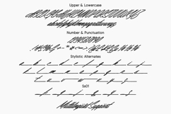 Cielline | Signature Font Product Image 9