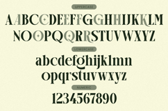 Arogel - Luxury Ligature Serif Font Product Image 9