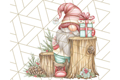 Scandinavian Christmas Gnomes Clipart PNG, Cute Gnome Png Product Image 5