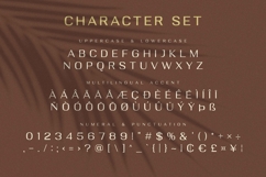 Deloire - Modern &amp; Luxury Sans Product Image 9