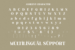 Ansilent - Modern Serif Font with Swash Product Image 9