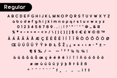 Fox Riding : 5 Font Styles Product Image 9