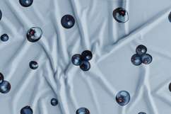 Blueberry vector patterns set Product Image 9