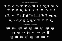 Seravim - Modern Bold Serif Font Product Image 9