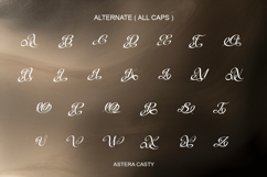 Astera Casty - Luxury Serif Font Product Image 9