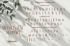 Reilodey - Modern Classy Serif Font Product Image 10