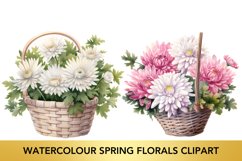 Watercolour Spring Florals Clipart Product Image 1