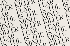 OZAAN A Sophisticated Modern Serif Product Image 9