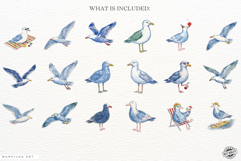 Hand-Drawn Summer Seagull Clipart Product Image 4