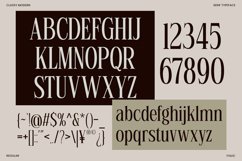 Linneva - Luxury Ligature Serif Font Product Image 9