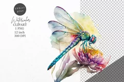 Dragonfly clipart, Flower clipart, Summer clipart Product Image 1