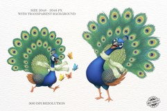 Spring &amp; Easter Peacock Clipart Product Image 2