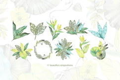 Delicate Tropics Watercolor Clipart Collection Product Image 4