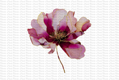 12 Burgundy Red and Gold Flowers PNG Product Image 4
