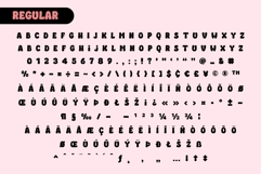 Fox Kind : 5 Font Styles Product Image 9