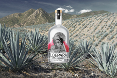 Lamrata Serif Display Font Product Image 9