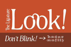 Rustique Serif Product Image 9