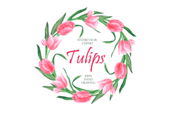 Pink tulips watercolor set. Flowers. Rustic. Product Image 9
