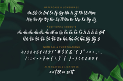 Bettawork - Brush Script Bold Product Image 9