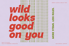 Winksy Bold Playful Display Font Product Image 9