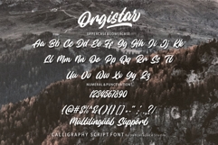 Orgistar - Bold Script Font Product Image 9