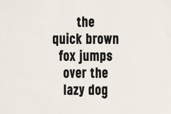Nexline Bold Sans Serif Font Product Image 9