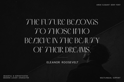 Airox Luxury Editorial Serif Font Product Image 9