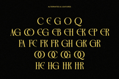 Rekogil - Luxury Serif Font for Branding Product Image 9