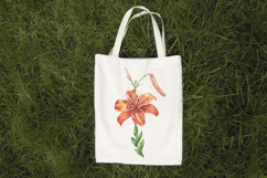 Lily Flower Watercolor Sublimation Print Lilium Illustration Product Image 9