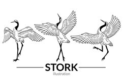 24 Set Bundle Stork Crane Swan Wild Animal Bird Hand Drawn Product Image 8