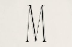 Veliora - Elegant Long Serif Product Image 9