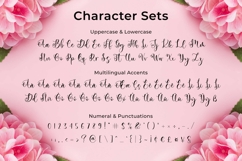Beautimy - Lovely Script Product Image 9