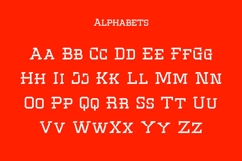 Fortuna Modern Bold Sports Font for Branding &amp; Display Font Product Image 9