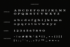 Best Remind - Elegant Editorial Serif Font Product Image 9