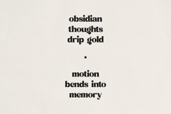 Quindle Retro Serif Display Font Product Image 9