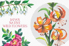 Japan native wild flowers watercolor Product Image 5