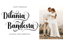 Maddison Wonderful - Family Font In 64 Type Product Image 8