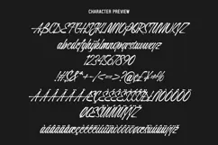 Arshen | Display Brush Script Product Image 9