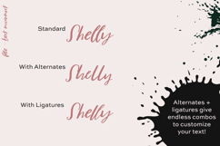 Fete Script Product Image 9