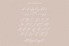 Belle Cherie Elegant Script Font Product Image 8