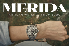 Erdova - Casual Serif Bold Typeface Product Image 9